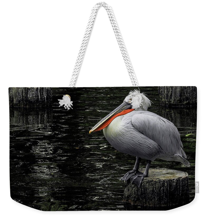 Lonely Weekender Tote Bag featuring the photograph Lonely Pelican by Pradeep Raja Prints