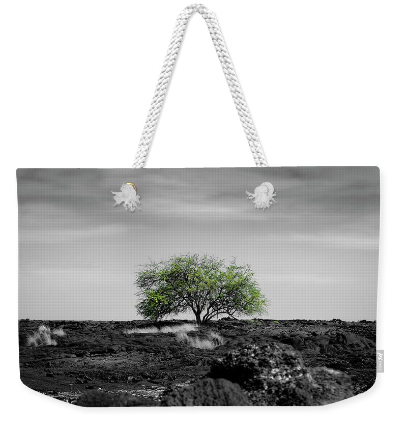 Plants Weekender Tote Bag featuring the photograph Lonely Tree by Daniel Murphy
