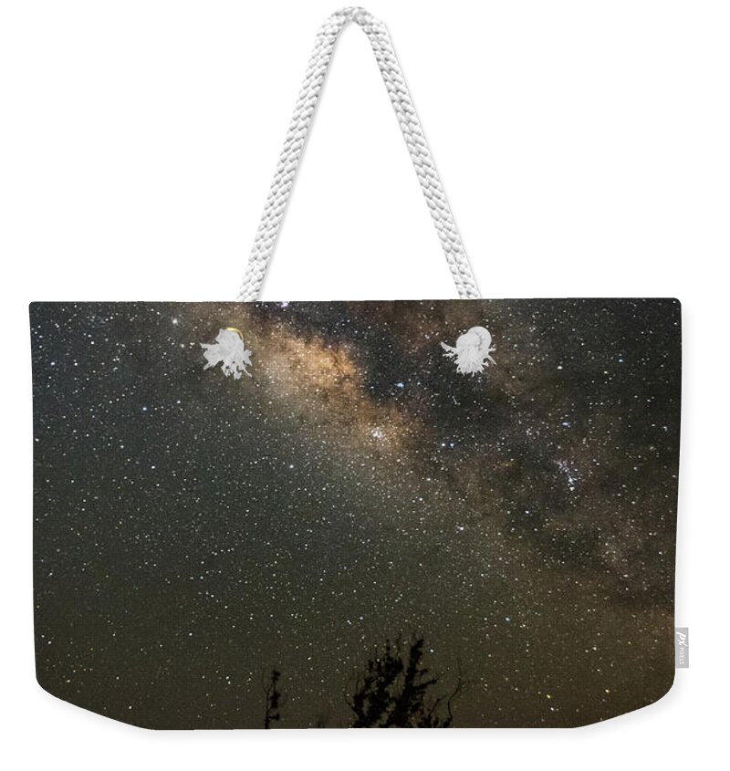 Tree Weekender Tote Bag featuring the photograph Lonely Tree Under The Stars II by David Hart