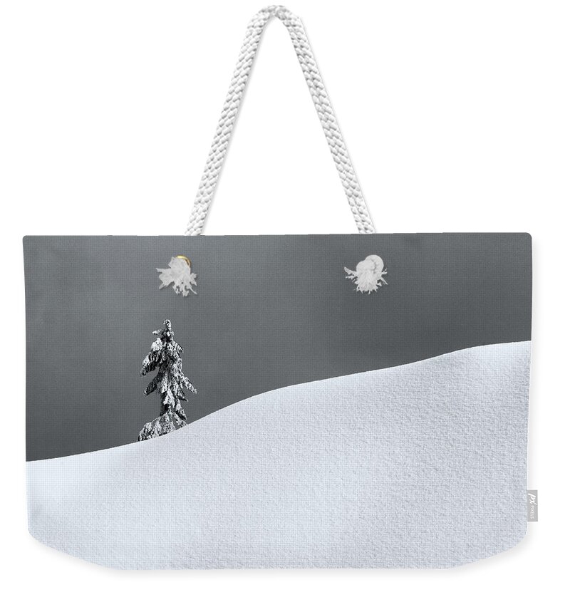 Lonely Weekender Tote Bag featuring the photograph Lonely Winter Tree by Alexander Fedin