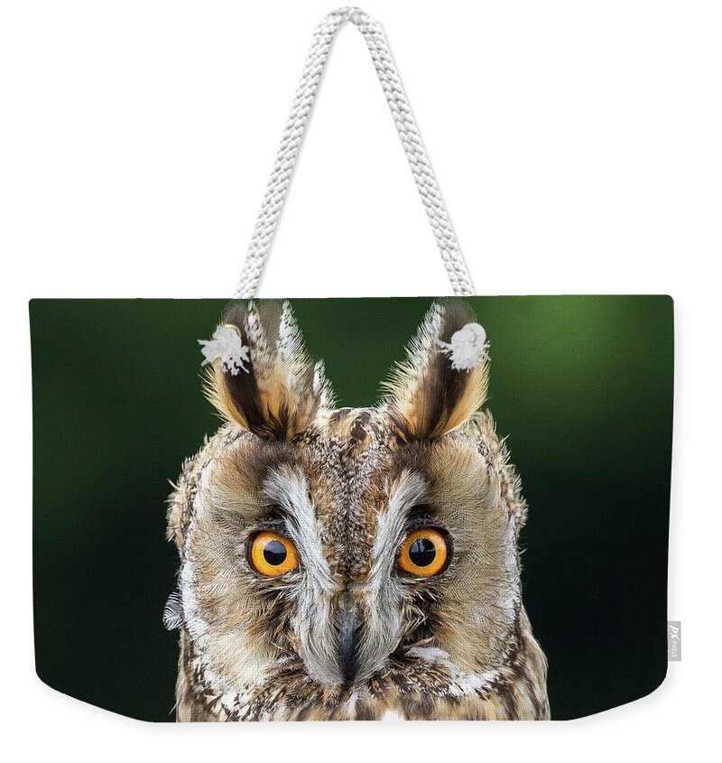 Long Eared Owl Weekender Tote Bag featuring the photograph Long Eared Owl 1 by Nigel R Bell