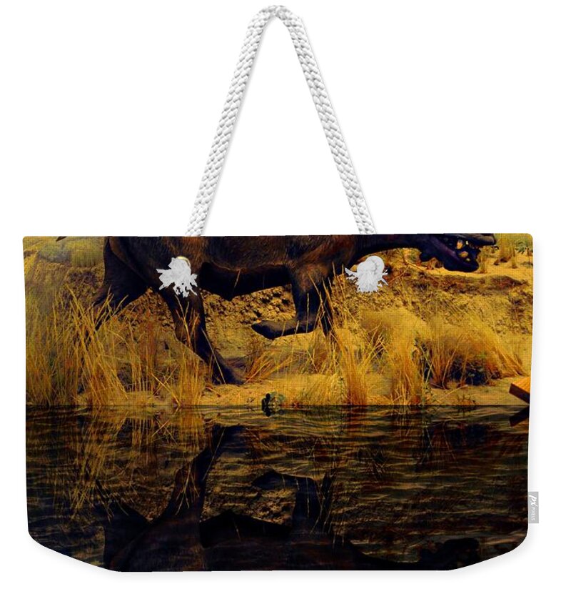 Prehistoric Weekender Tote Bag featuring the photograph Long, Long Ago by Phyllis Meinke
