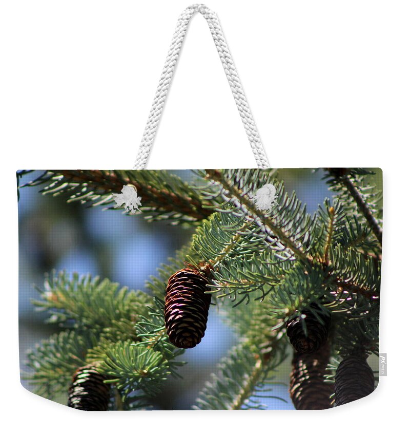 Long Pinecone Weekender Tote Bag featuring the photograph Long Pinecones on Calliste Green by Colleen Cornelius