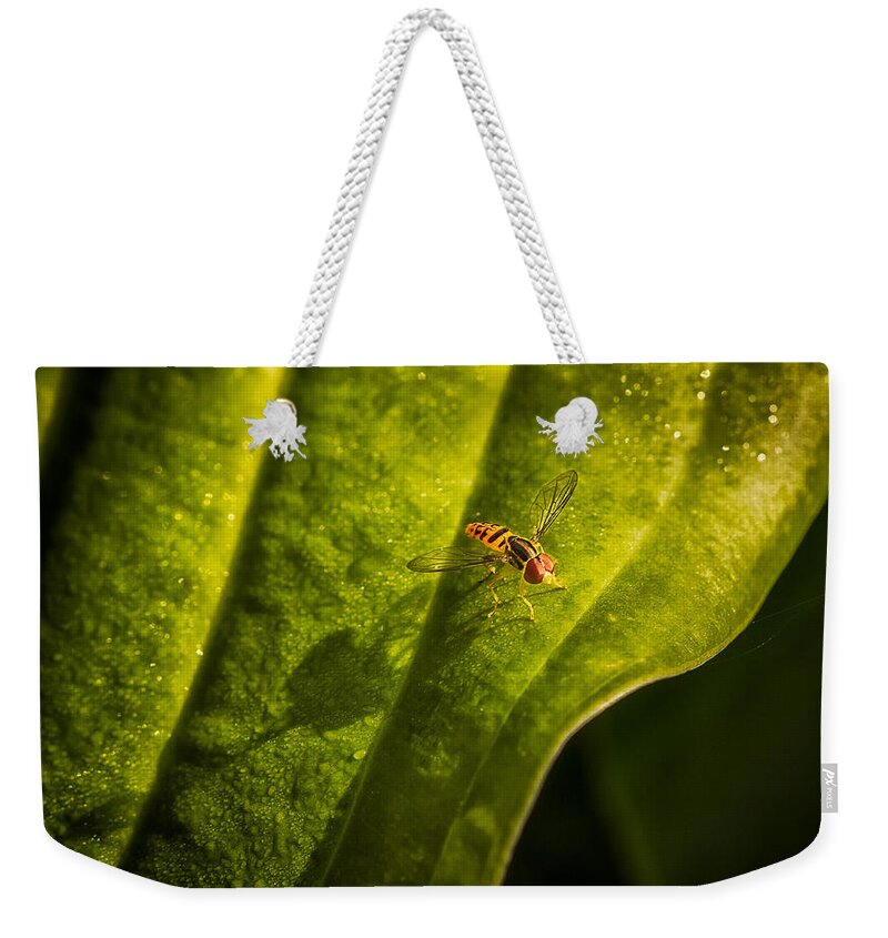 Animals Weekender Tote Bag featuring the photograph Long Shadow by Rikk Flohr