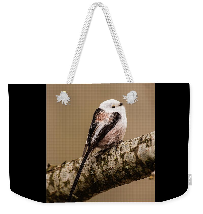 Long-tailed Tit Weekender Tote Bag featuring the photograph Long-tailed tit on the oak branch by Torbjorn Swenelius