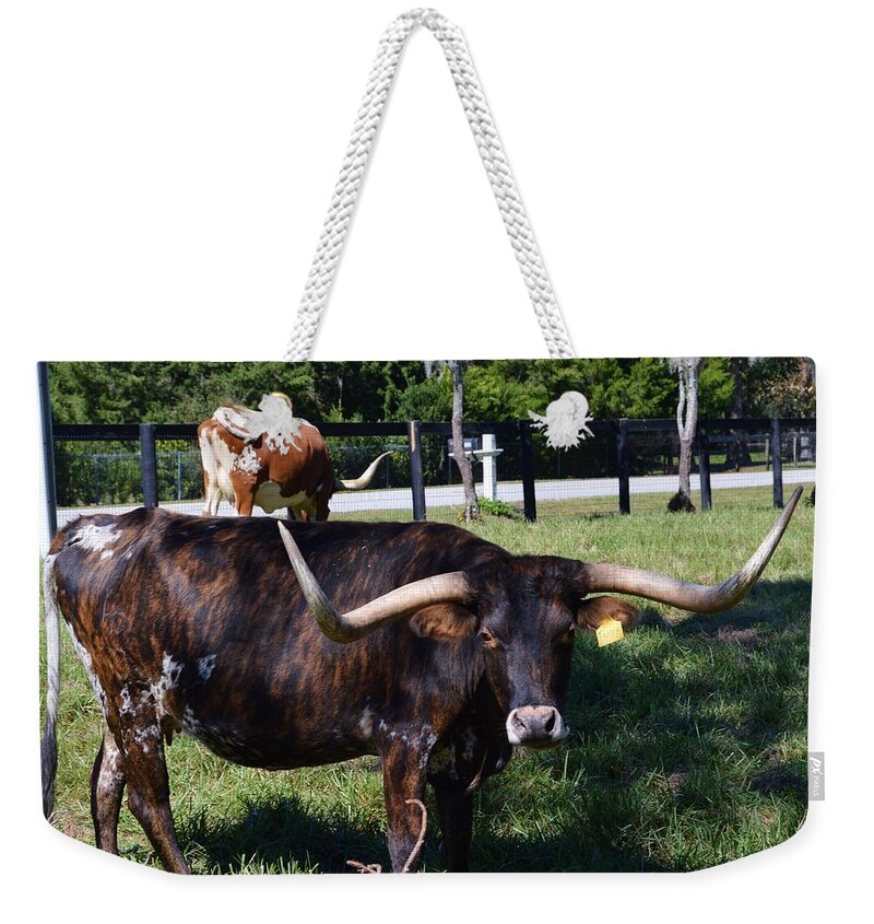 Longhorn With The Yellow Tag Weekender Tote Bag featuring the photograph Longhorn With The Yellow Tag by Warren Thompson