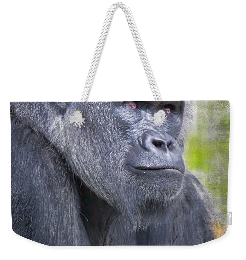 Uganda Gorilla Weekender Tote Bag featuring the photograph Longing by David Wagner