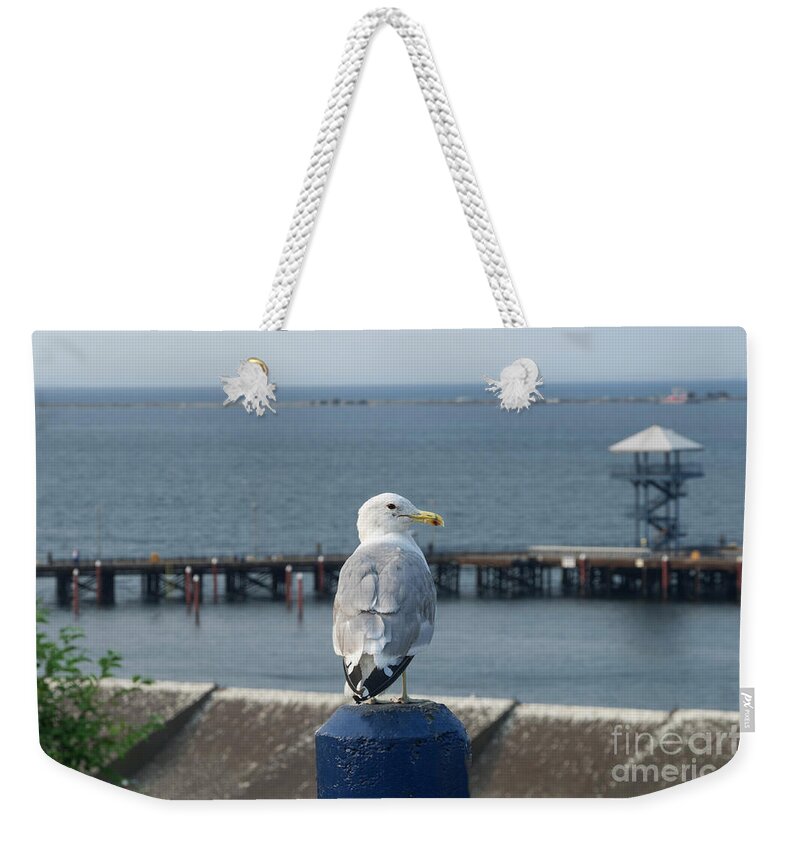 Seagull Weekender Tote Bag featuring the photograph Look Out by Louise Magno