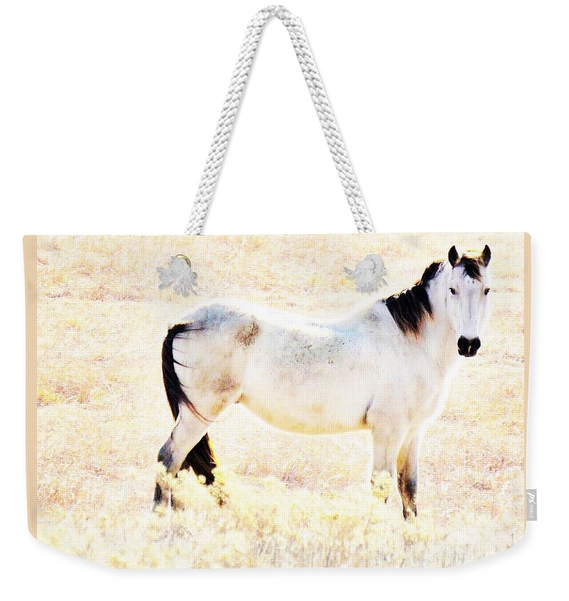 Horse Weekender Tote Bag featuring the photograph Looking Good by Merle Grenz