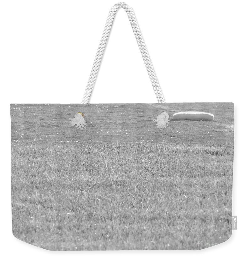 Baseball Weekender Tote Bag featuring the photograph Looking in to Third Base by Erick Schmidt