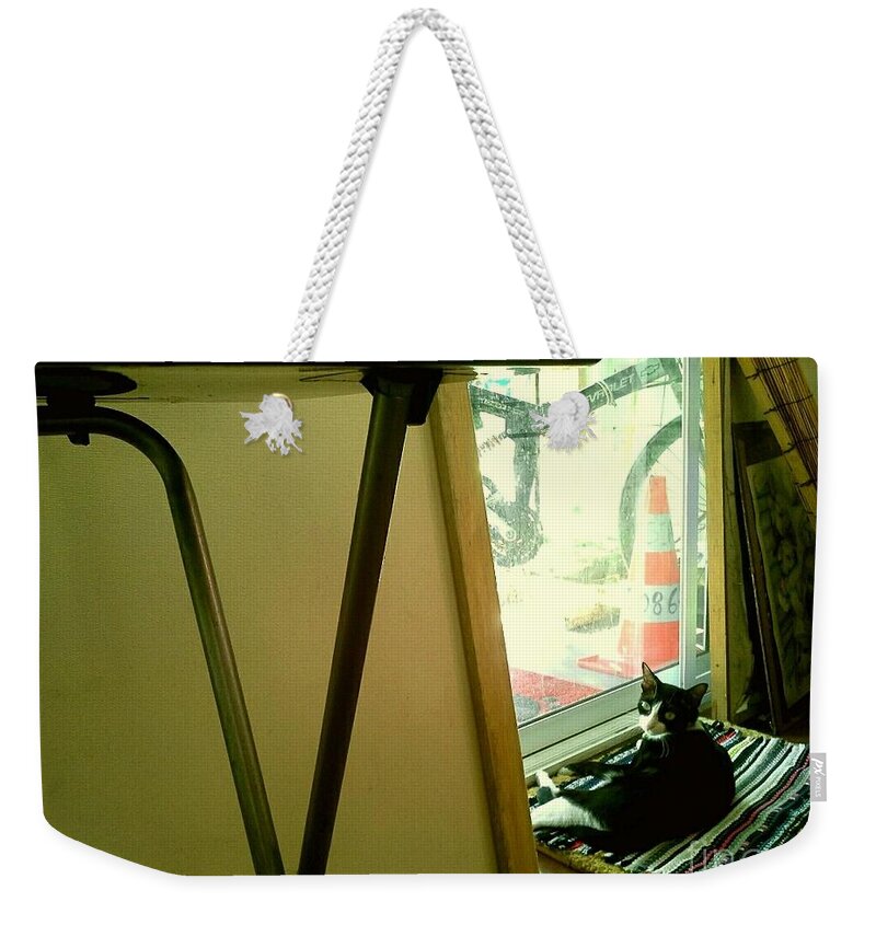 Cat Weekender Tote Bag featuring the photograph Looking to Me by Sukalya Chearanantana