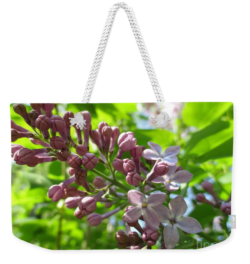 Lilac Weekender Tote Bag featuring the photograph Looking Up At Lilac by Martin Howard