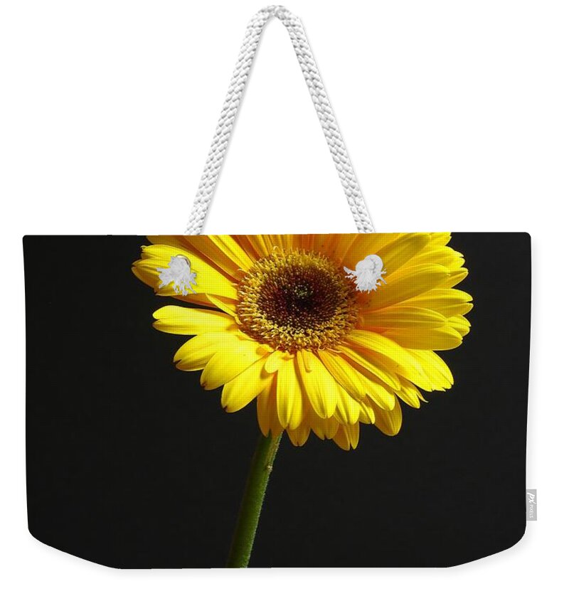 Gerber Daisy Weekender Tote Bag featuring the photograph Looking Up by Juergen Roth