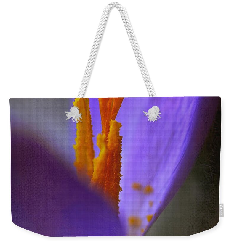 Crocus Weekender Tote Bag featuring the photograph Looking Up To Spring by Rene Crystal