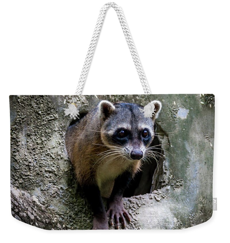 Ecuador Weekender Tote Bag featuring the photograph Lookout by Daniel Murphy