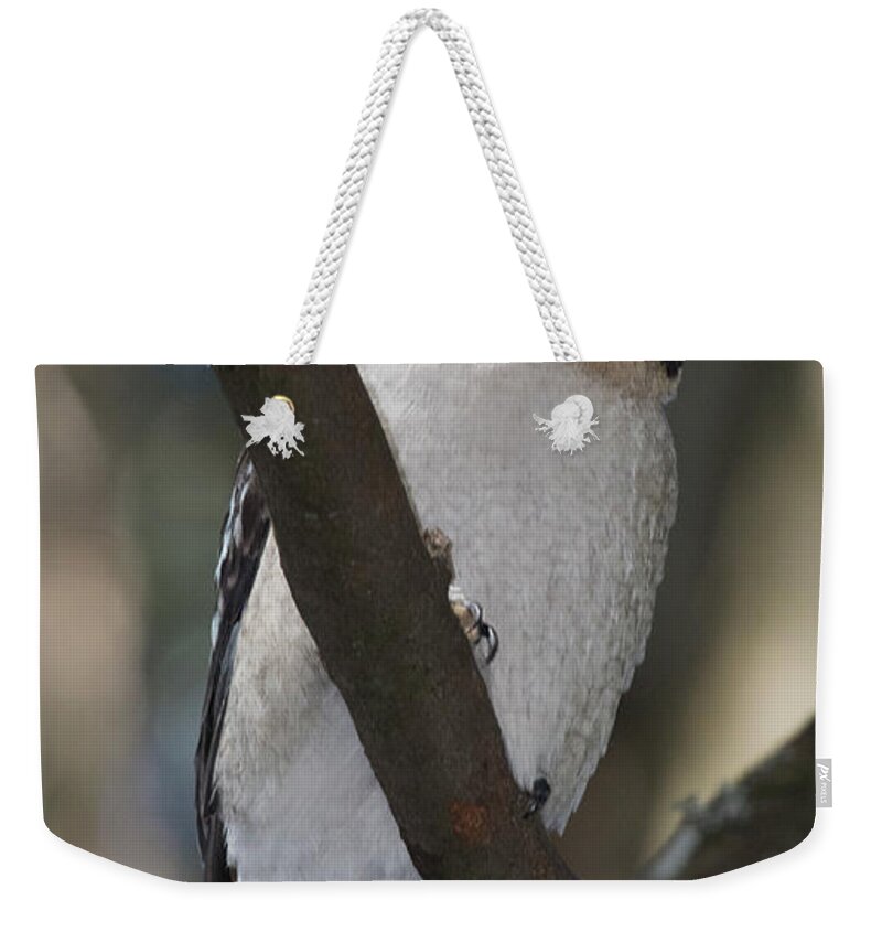 Bird Weekender Tote Bag featuring the photograph Lookout by Masami IIDA