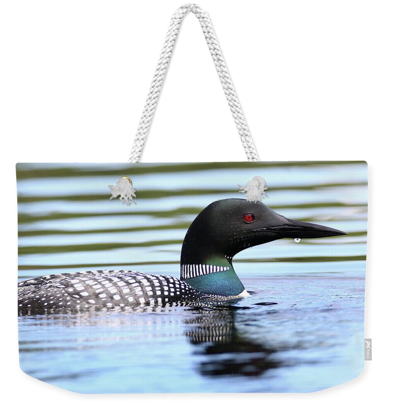 Loon Weekender Tote Bag featuring the photograph Loon 25 by Brook Burling