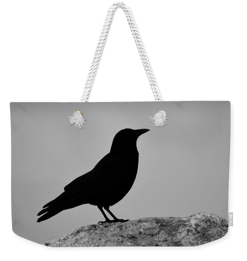 Birds Weekender Tote Bag featuring the photograph Lost wings by J C
