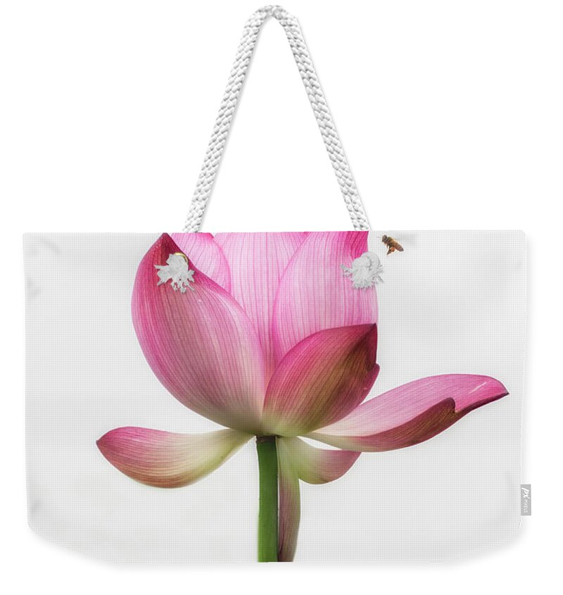 China Weekender Tote Bag featuring the photograph Attraction between the bees and the flower. by Usha Peddamatham