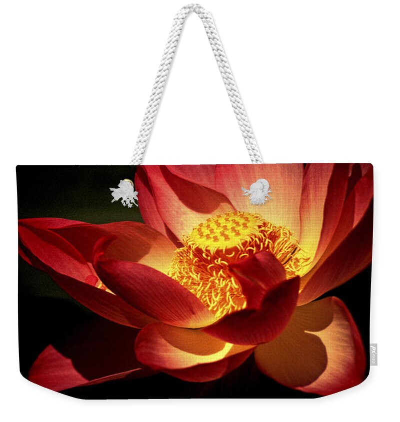 Flowers Weekender Tote Bag featuring the photograph Lotus Blossom by Paul W Faust - Impressions of Light