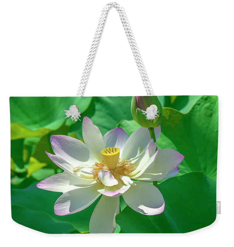 Lotus Weekender Tote Bag featuring the photograph Lotus--Fading i DL0079 by Gerry Gantt