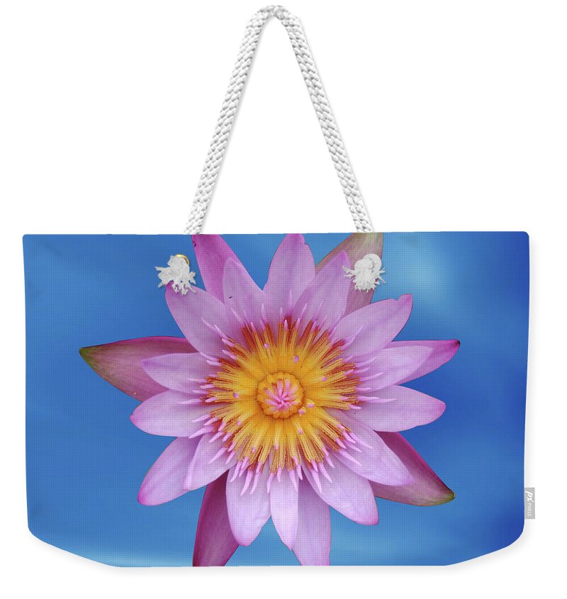 Lotus Weekender Tote Bag featuring the photograph Lotus in blue by Ridwan Photography
