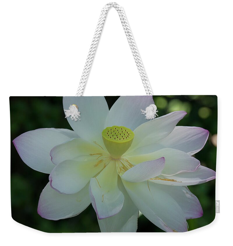 Lotus Weekender Tote Bag featuring the photograph Lotus In the Shade iv DL0100 by Gerry Gantt