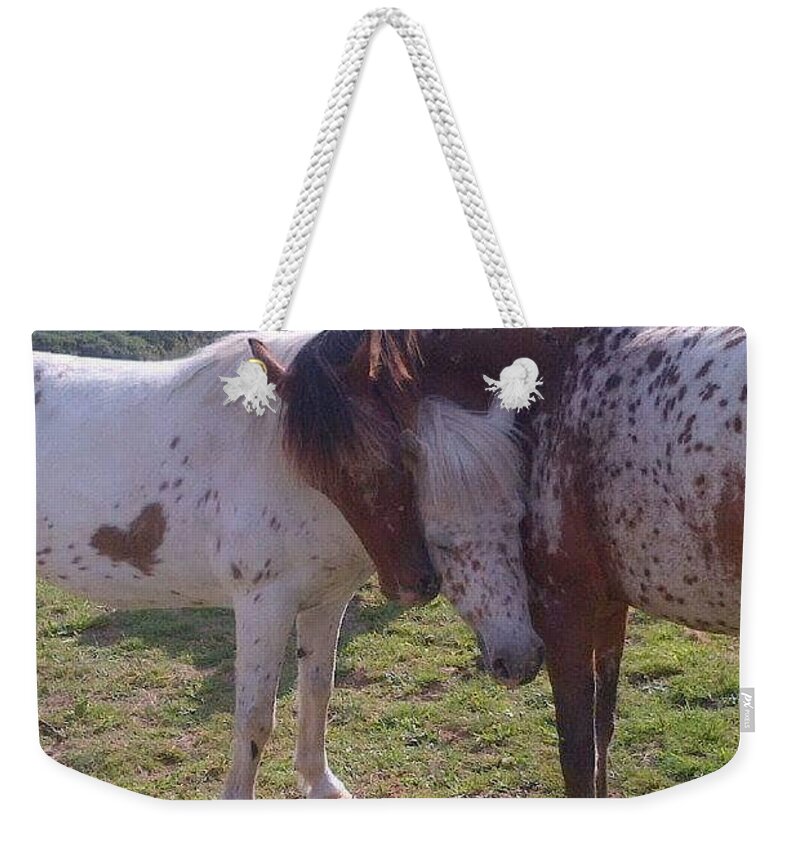 Appaloosa; Heart; Spotted; Pony; Horse; Valentine; Hug; Horse Of The Year; Love; Cuddle; Bliss; Calm; Friendship; Friend; Pals; Sweetheart; Sweet; Cute; Cuddly; Warm; Weekender Tote Bag featuring the photograph Heart Appaloosa by Susan Baker
