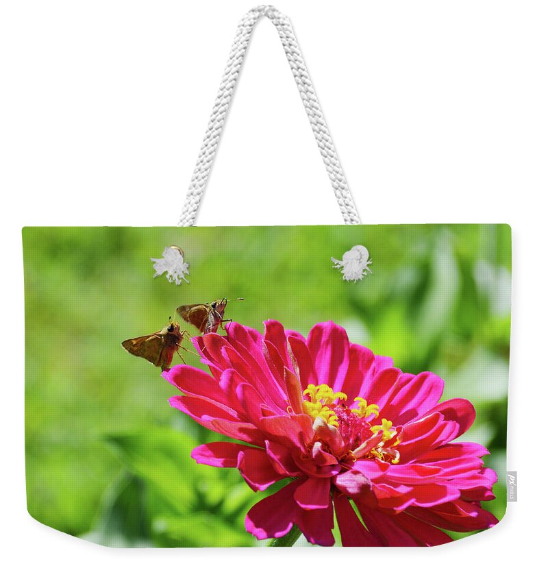 Robyn King Weekender Tote Bag featuring the photograph Love At First Flight by Robyn King