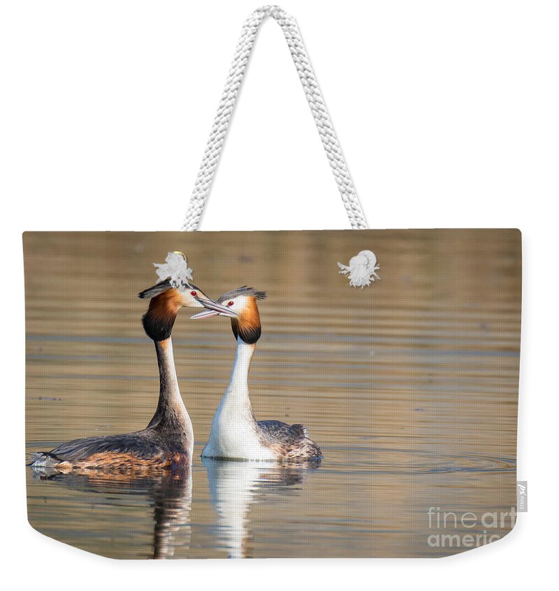 Animalia Weekender Tote Bag featuring the photograph Love couple by Jivko Nakev