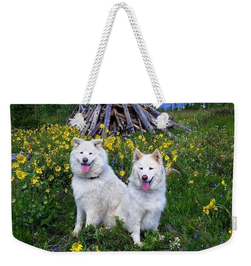 Samoyed Weekender Tote Bag featuring the photograph Love Is Friendship by Fiona Kennard