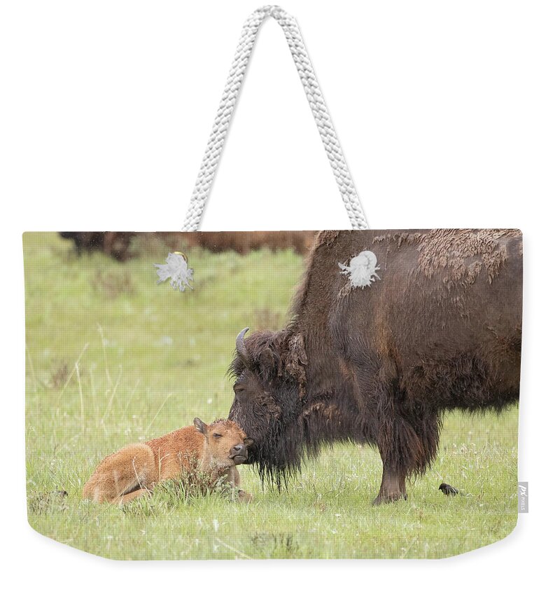 Bison Weekender Tote Bag featuring the photograph Love my Mama by Eilish Palmer