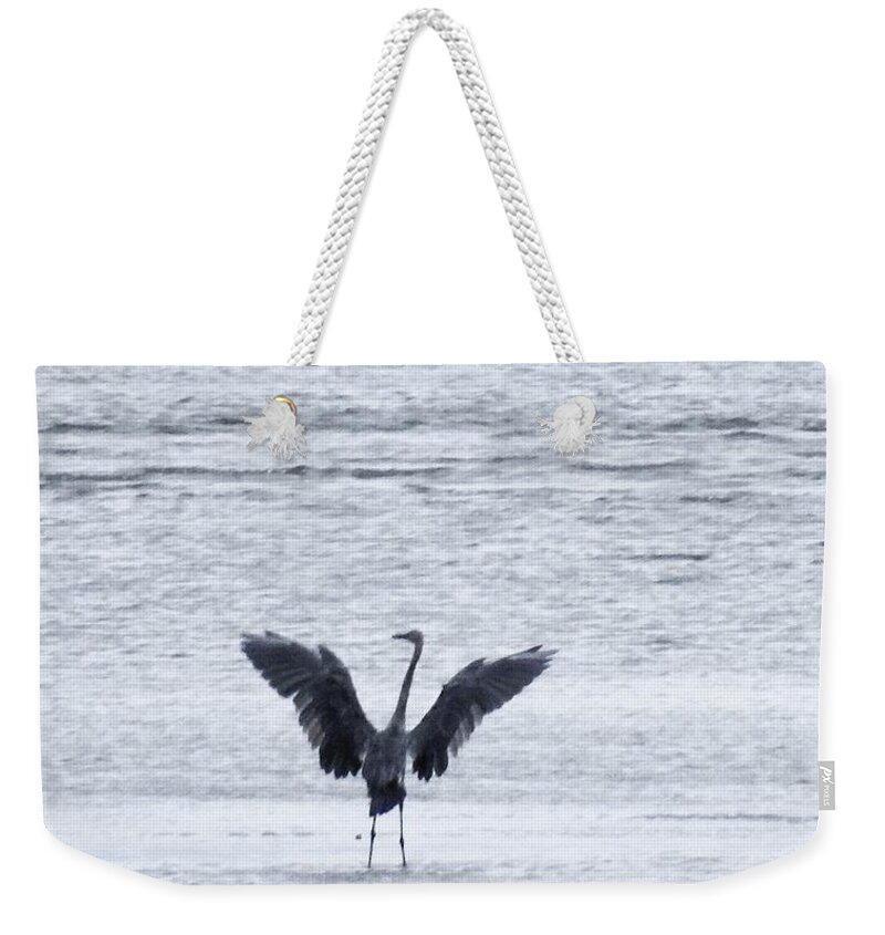 Birds Weekender Tote Bag featuring the photograph Love The Ocean by Jan Gelders