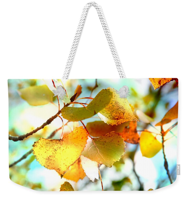 Leaf Weekender Tote Bag featuring the photograph Lovely leaves by Toni Hopper