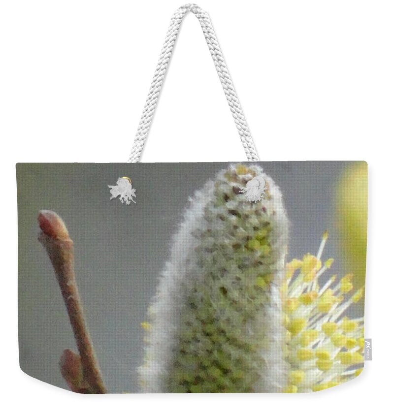 Spring Weekender Tote Bag featuring the photograph Lovely spring by Karin Ravasio