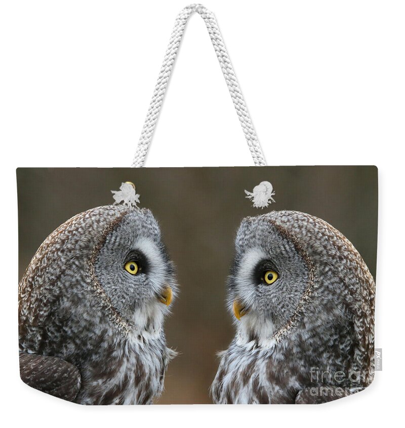 Great Gray Owl Weekender Tote Bag featuring the photograph Lovers Rendezvous by Heather King