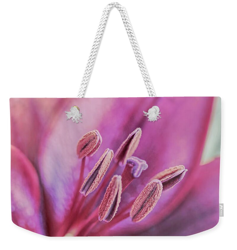 Lily Weekender Tote Bag featuring the photograph Luminous Day Lily Flower by Jennie Marie Schell