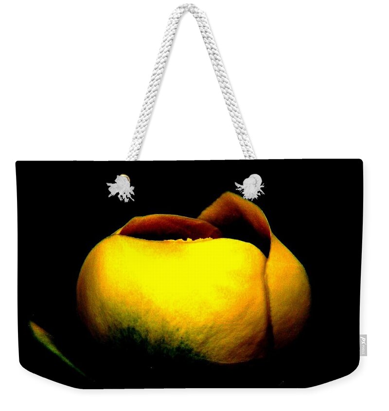 Yellow Lotus Weekender Tote Bag featuring the photograph Luminous Lotus by Angela Davies