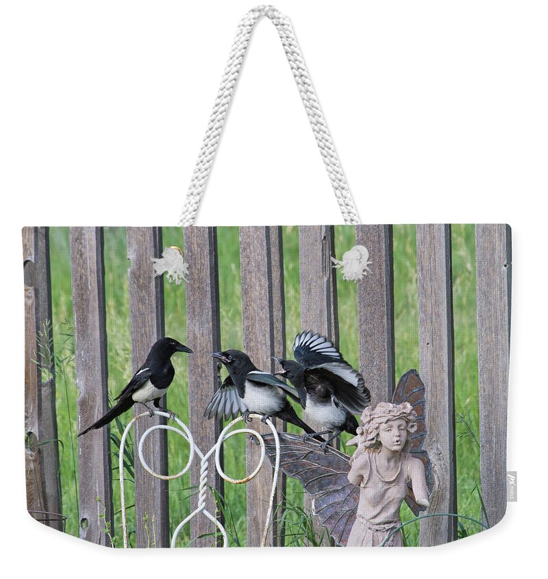 Avian Weekender Tote Bag featuring the photograph Lunch in the Garden by Alana Thrower