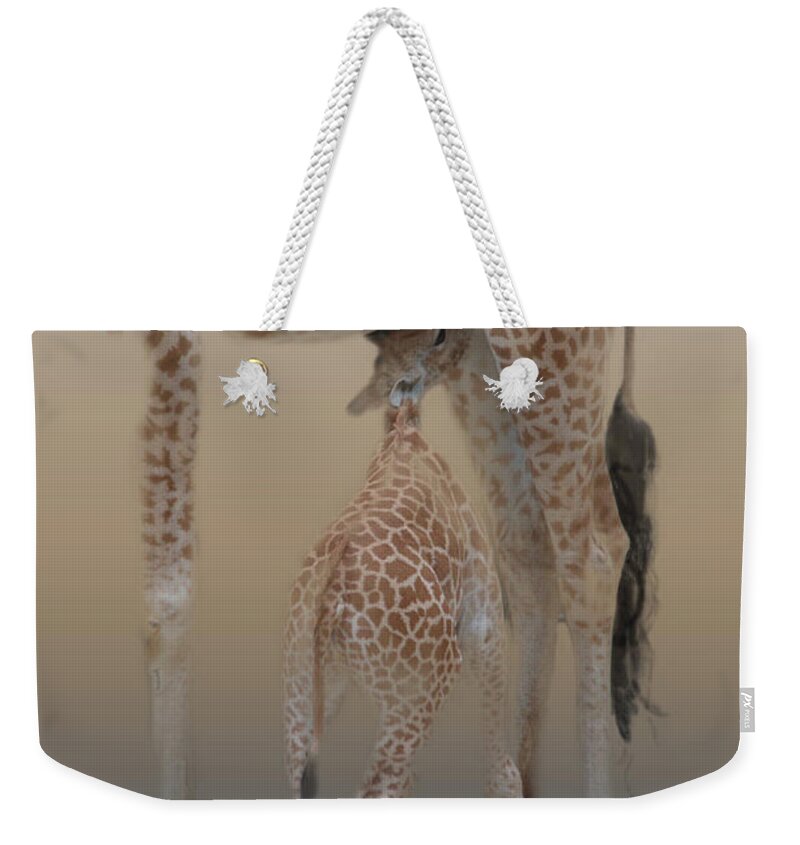 Michelle Meenawong Weekender Tote Bag featuring the photograph Lunch Time by Michelle Meenawong