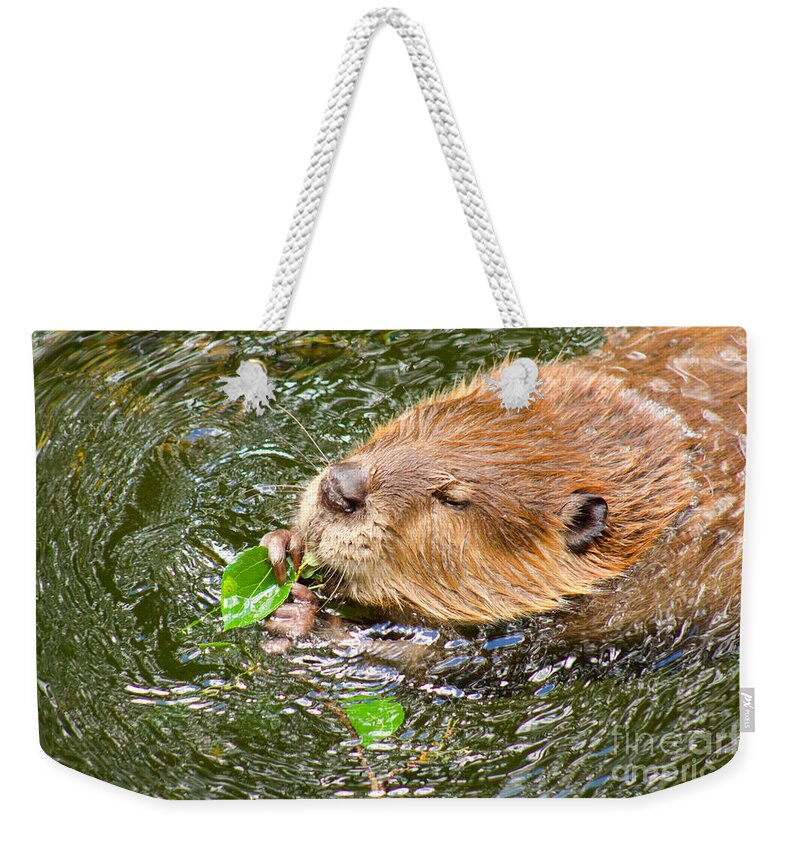 Photography Weekender Tote Bag featuring the photograph Lunch Time by Sean Griffin