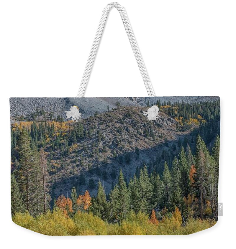 Fall Weekender Tote Bag featuring the photograph Lundy Canyon by Patricia Dennis