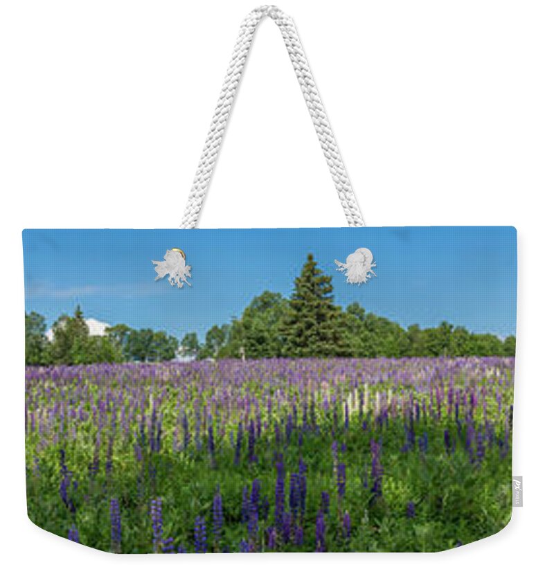 Flowers Weekender Tote Bag featuring the photograph Lupine Field by Darryl Hendricks