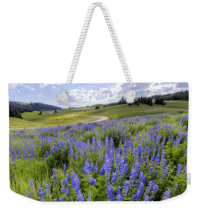 Lupine Pass Weekender Tote Bag featuring the photograph Lupine Pass by Chad Dutson