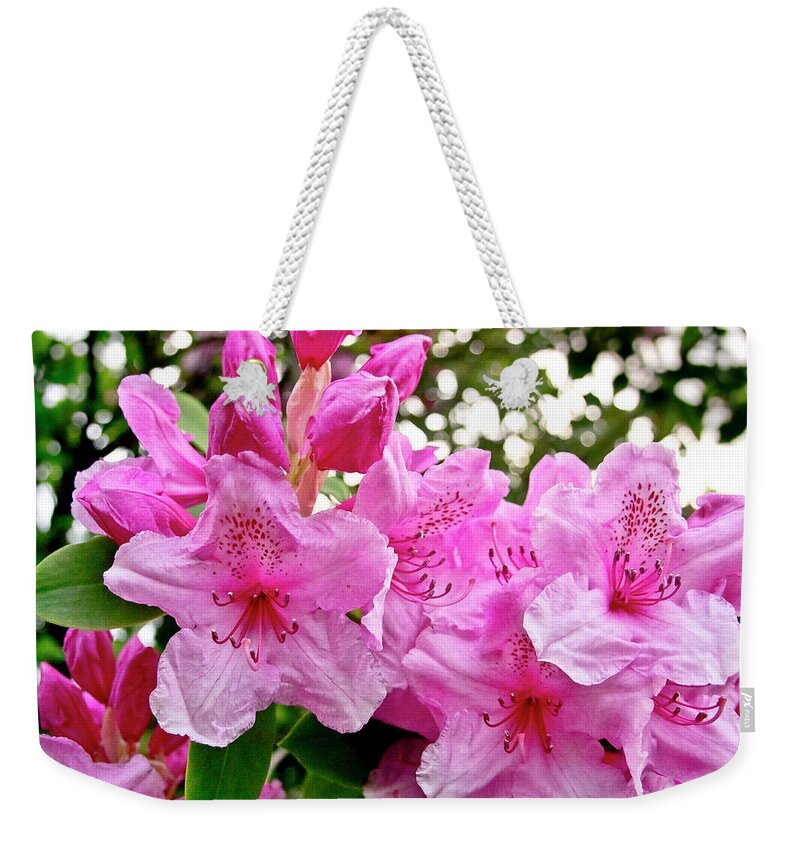 Lush Weekender Tote Bag featuring the photograph Lush spring of the pink rhododendrons. by Elena Perelman