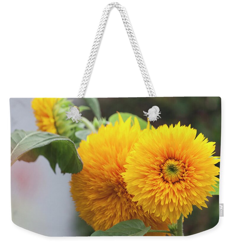 Photograph Weekender Tote Bag featuring the photograph Lush Sunflowers by Suzanne Gaff