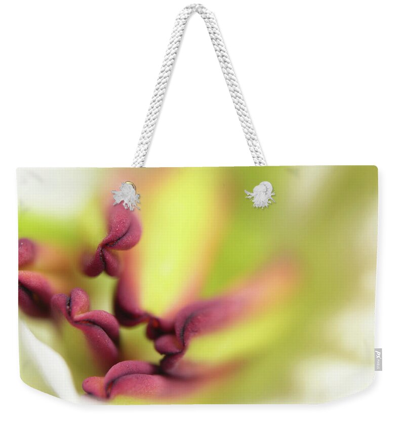 Macro Weekender Tote Bag featuring the photograph Macro 018 by Dawn Marshall