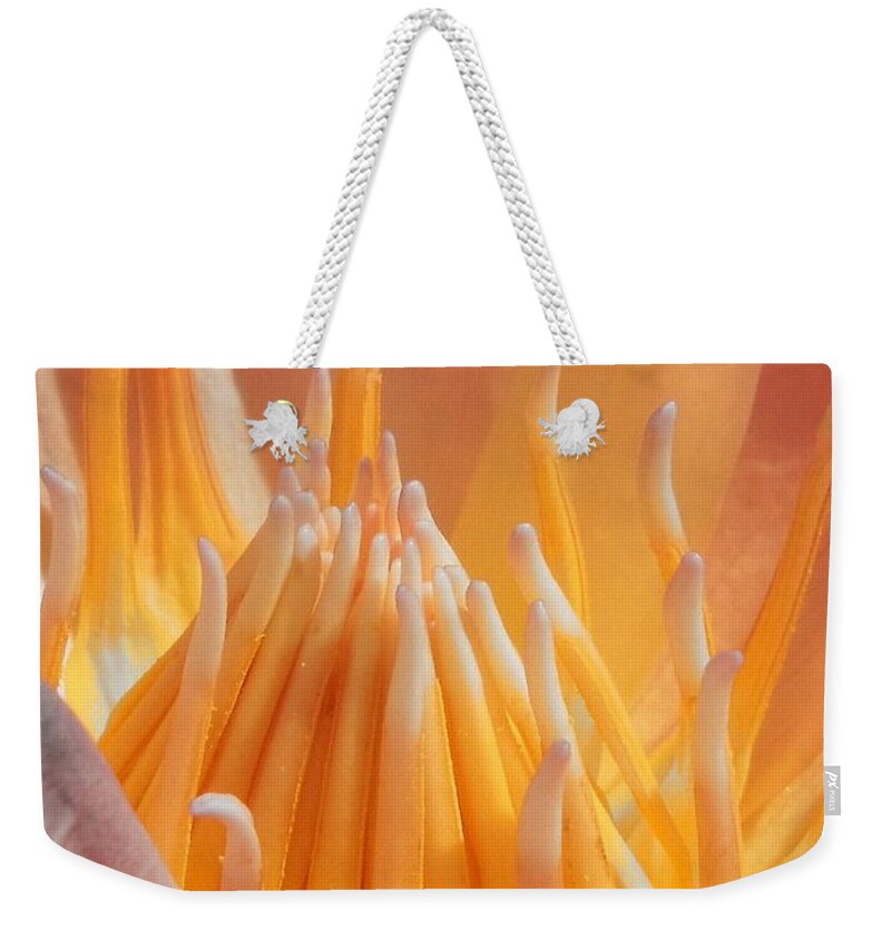 Water Lily Weekender Tote Bag featuring the photograph Macro Water Lily by Chad and Stacey Hall