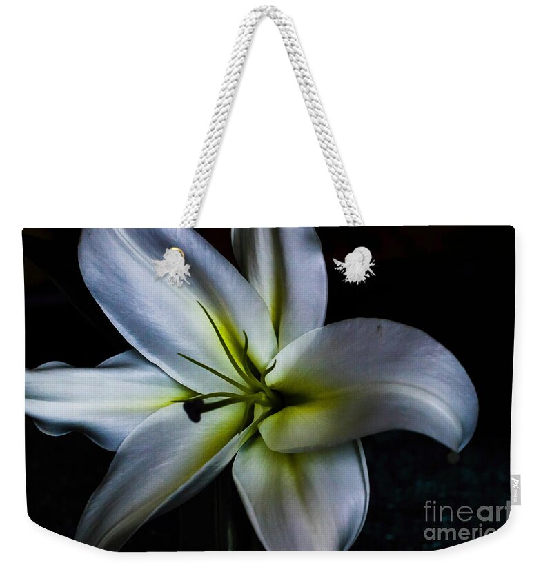 Lily Weekender Tote Bag featuring the photograph Madonna by Diana Mary Sharpton