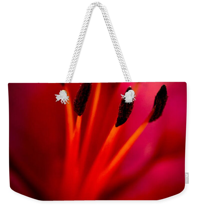 Flower Weekender Tote Bag featuring the photograph Magenta Bloom by Michael Arend